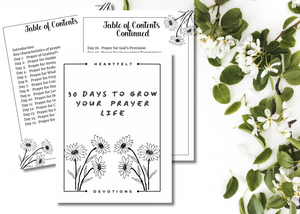 Printed pages from the Daily Prayer Journal laid out, showing their suitability for traditional journaling.